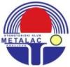 metalaclogo2.jpg
